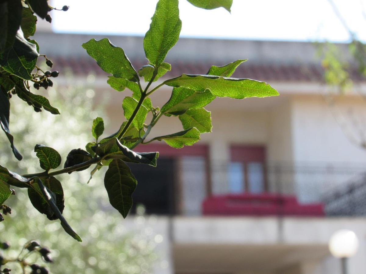 Casa Il Giovane Alloro Martina Franca Luaran gambar